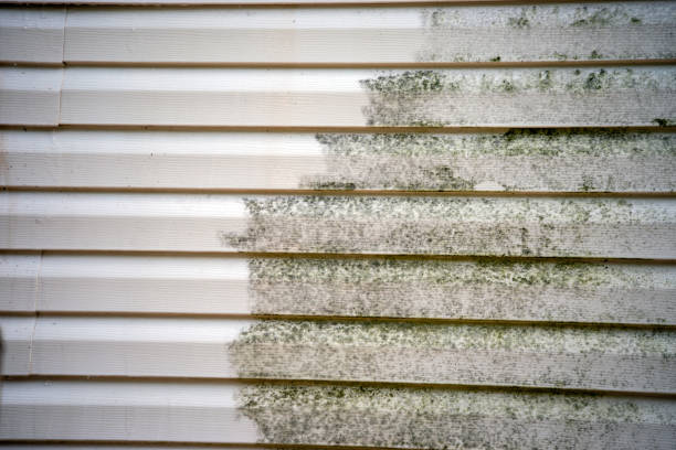 Best Historical Building Siding Restoration  in Dulles Town Center, VA