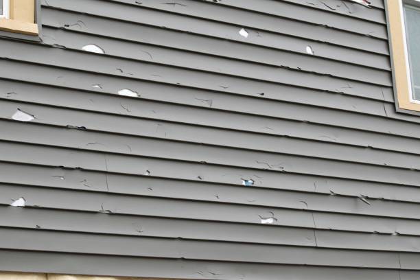Affordable siding repair and maintenance services in Dulles Town Center, VA